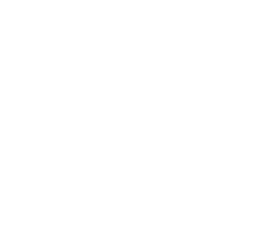 AirMiles